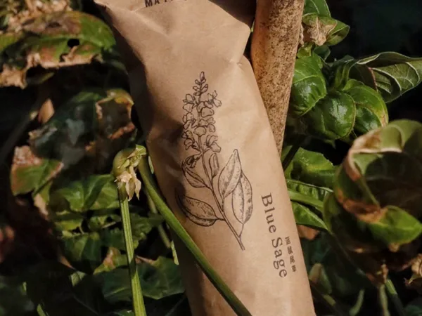 Sage, Palo Santo, Cedar, Wormwood Aromatherapy Set