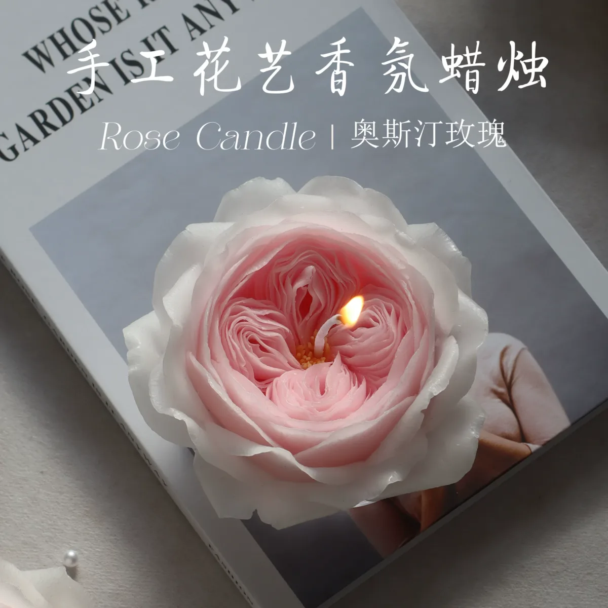 Austin rose scented candle