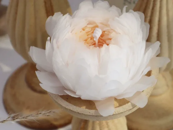 Peony scented candle flowers