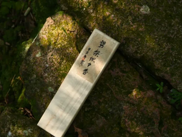 100 grams of natural goose pear tent incense