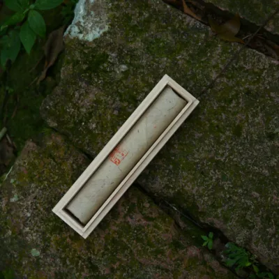 Vietnamese Nha Trang agarwood incense 50g