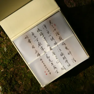 Ambergris agarwood plate incense 50 grams