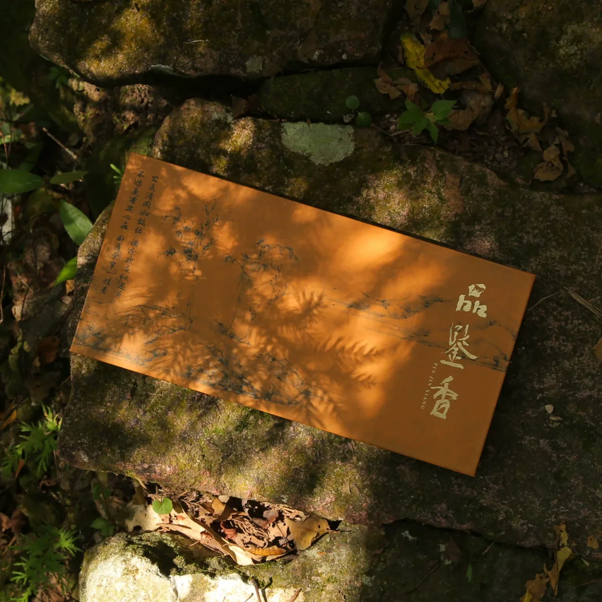 10 flavors to taste the fragrance