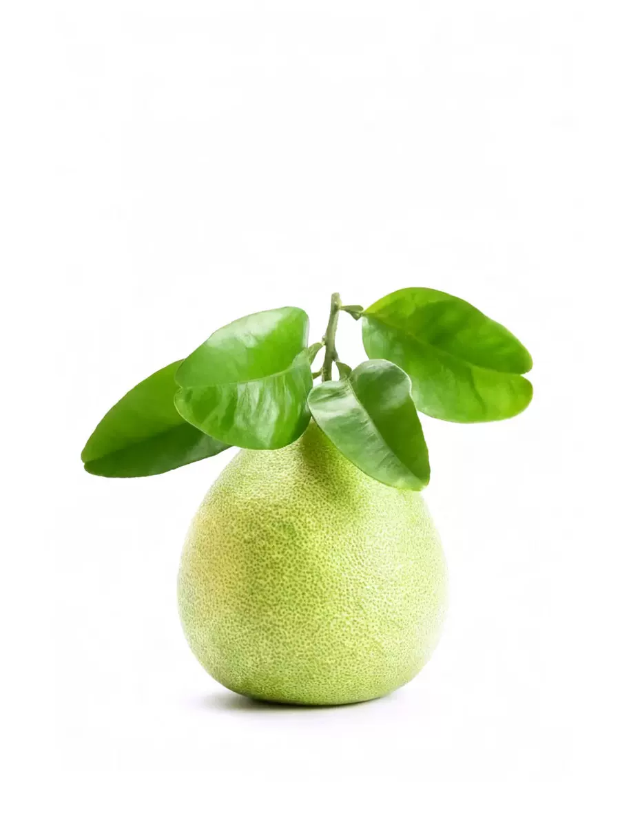 Natural grapefruit leaf incense sticks are handmade