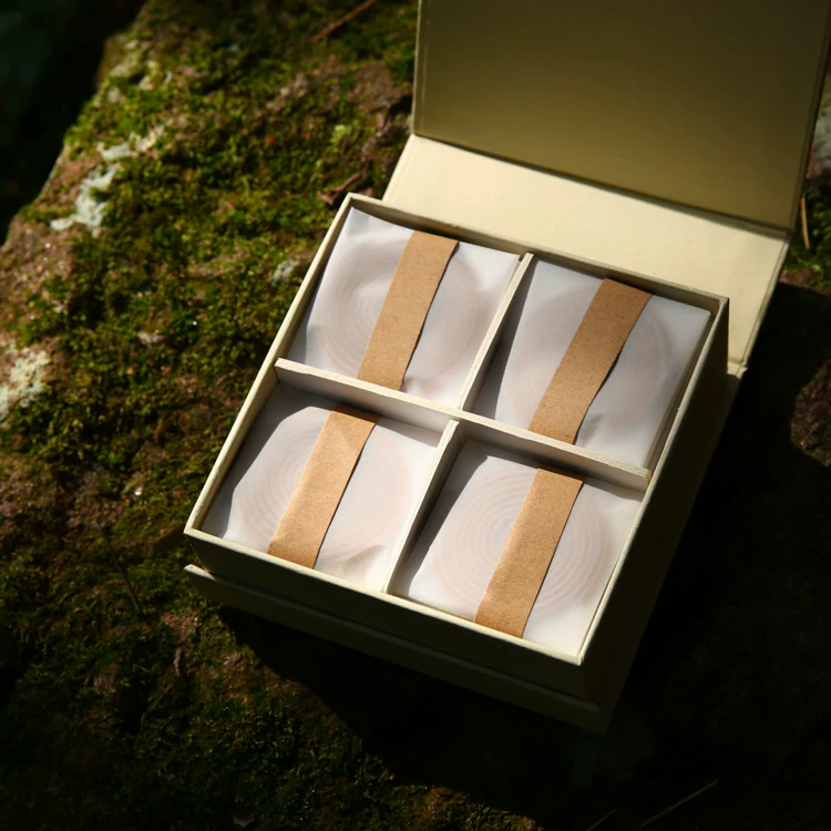 Ambergris Agarwood Coil Incense (50g) showing natural fragrance and home ritual detail