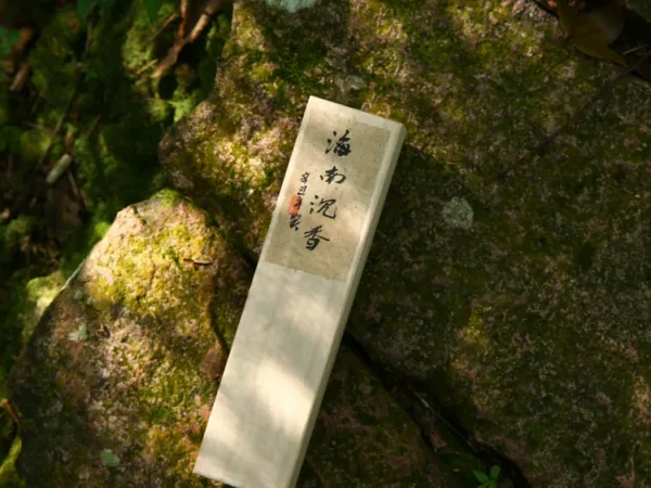 Hainan Agarwood Incense Sticks (50g) showing natural fragrance and home ritual detail