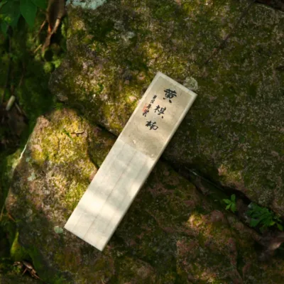 Huang Qinan (Premium Agarwood) Incense Sticks (50g) showing natural fragrance and home ritual detail