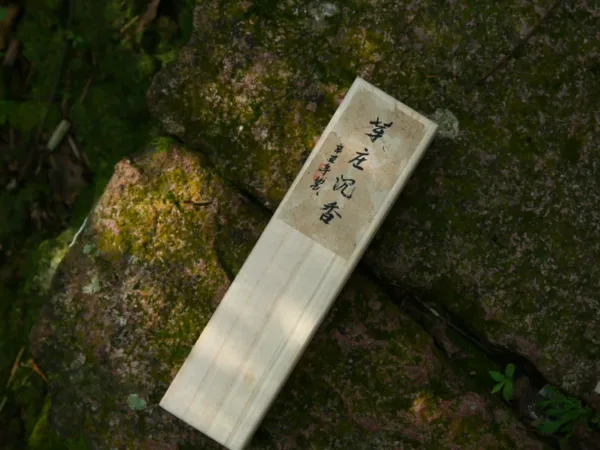 Vietnam Nha Trang Agarwood Incense Sticks (50g) showing natural fragrance and home ritual detail